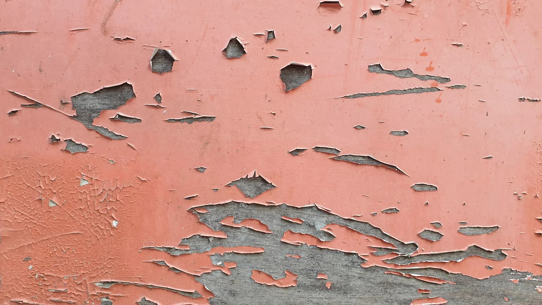 Loose paint being scraped from a wall