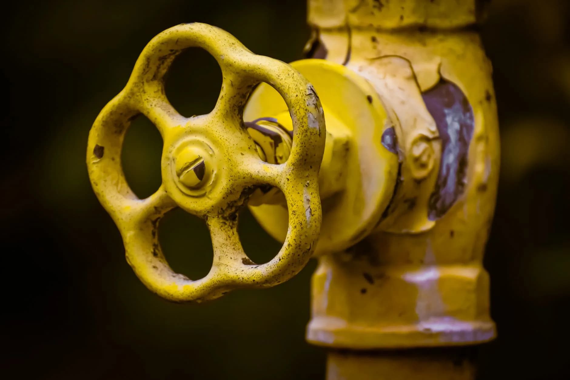 A main water shutoff valve