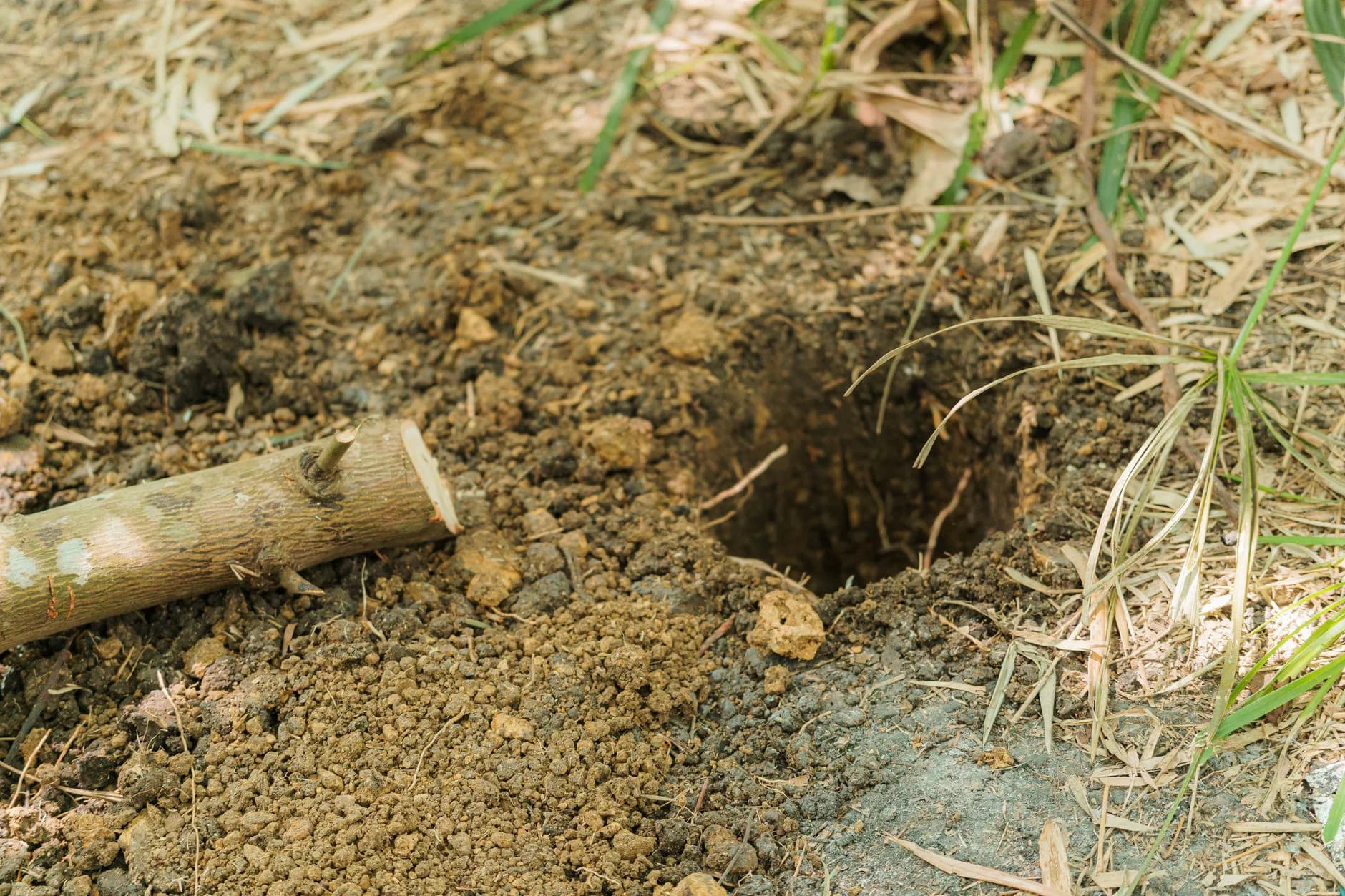 A post being set into the ground