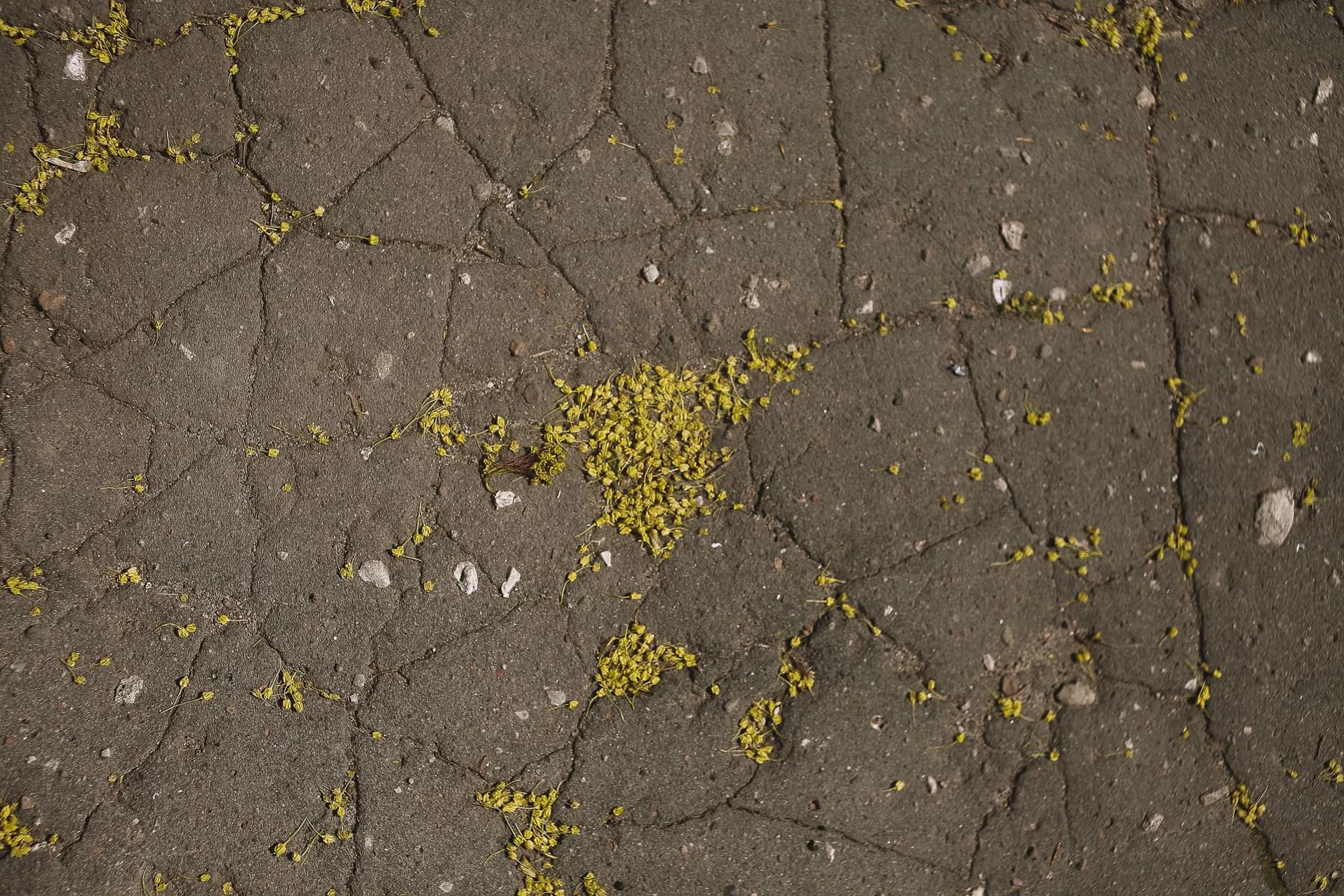 A crack running across a concrete slab