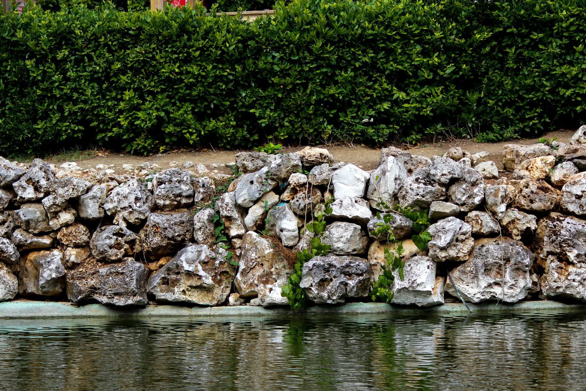 A stone retaining wall holding back planted ground