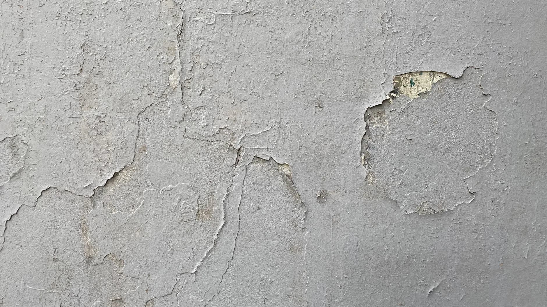 A water stain spreading across a ceiling