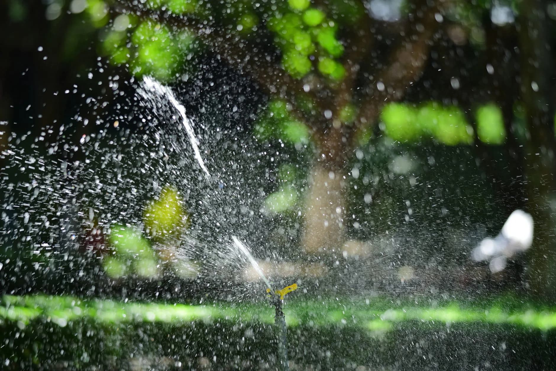 A lawn being watered