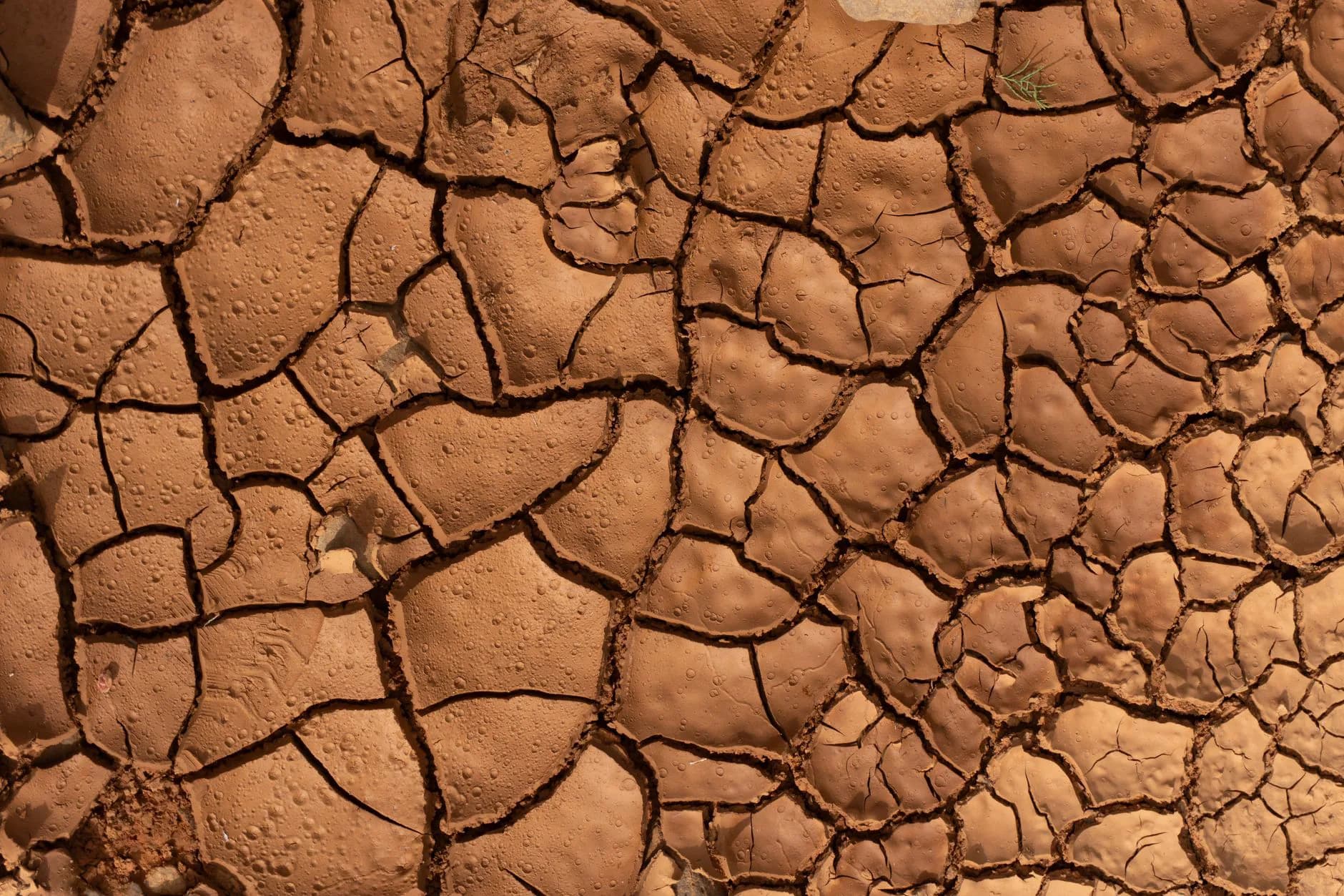 Cracked dry soil