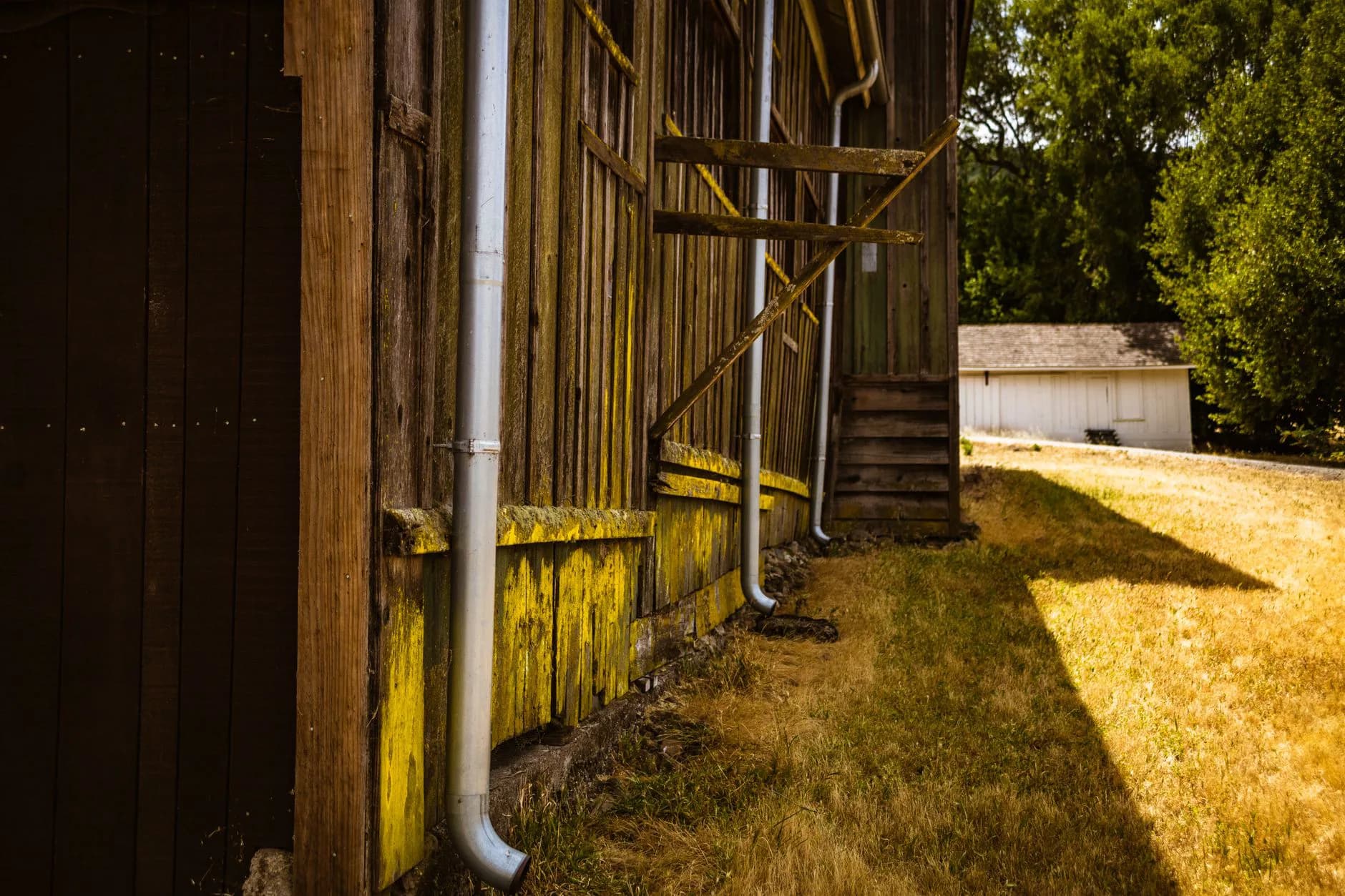 A downspout extension on the ground