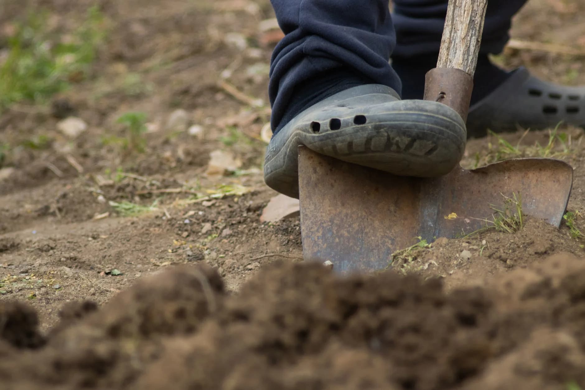 A trench dug in a garden