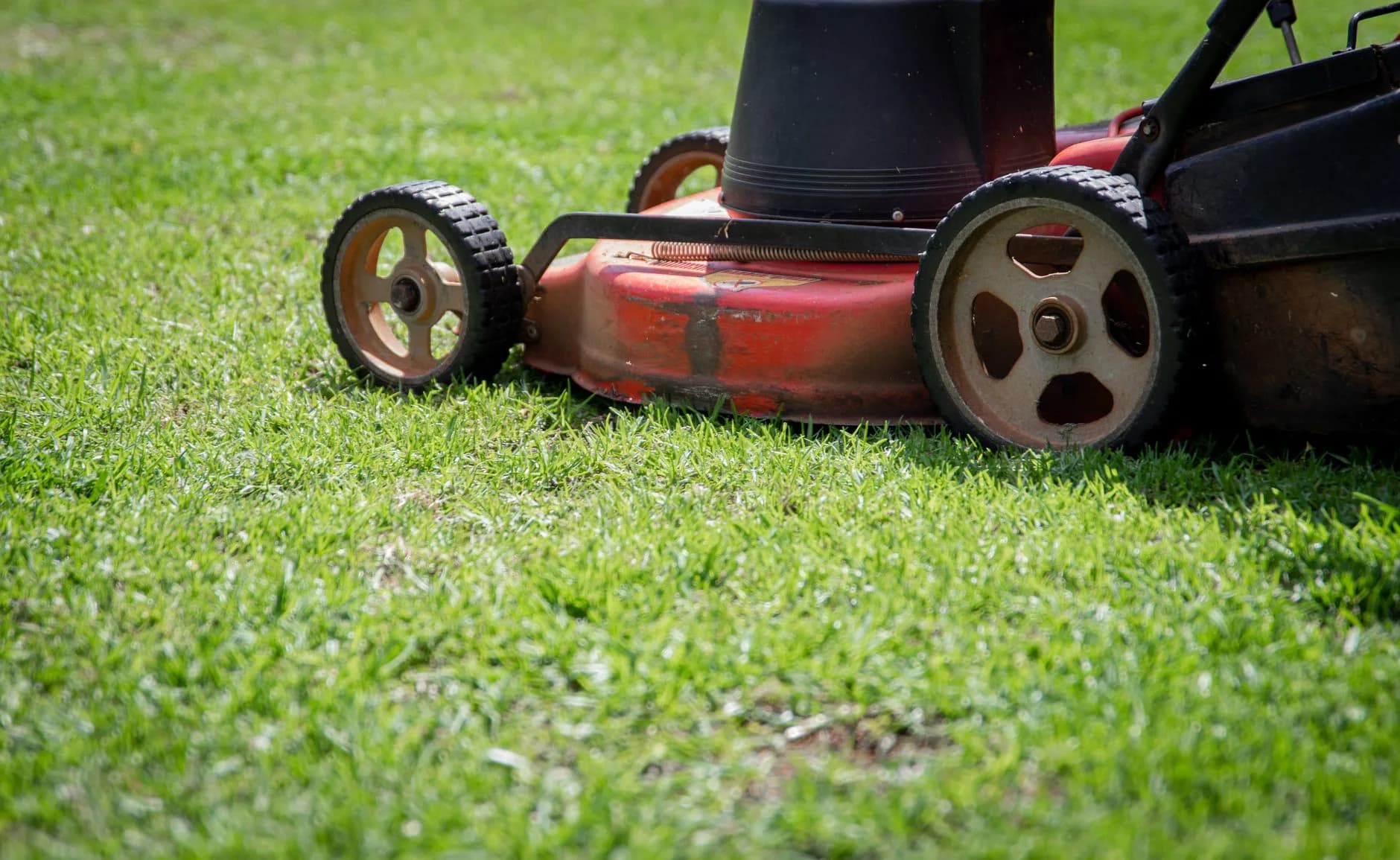 A commercial mower cutting a lawn