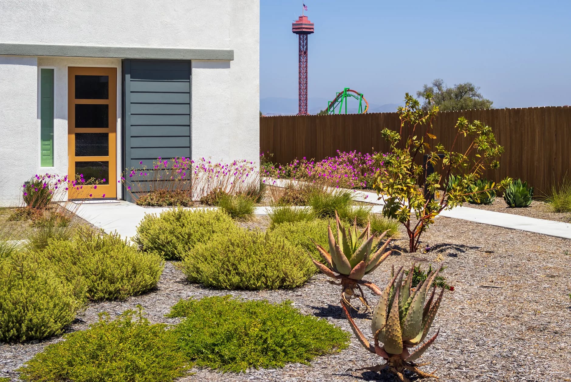 A front yard planted with drought-tolerant plants and gravel