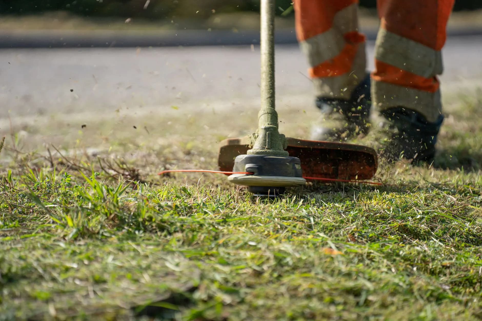 A string trimmer cutting grass along a bed edge