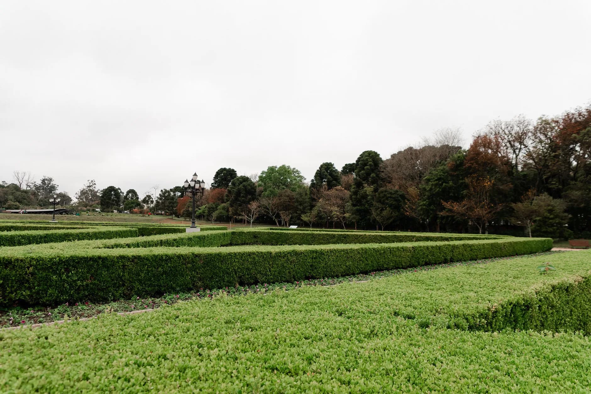 A formally clipped hedge with flat faces