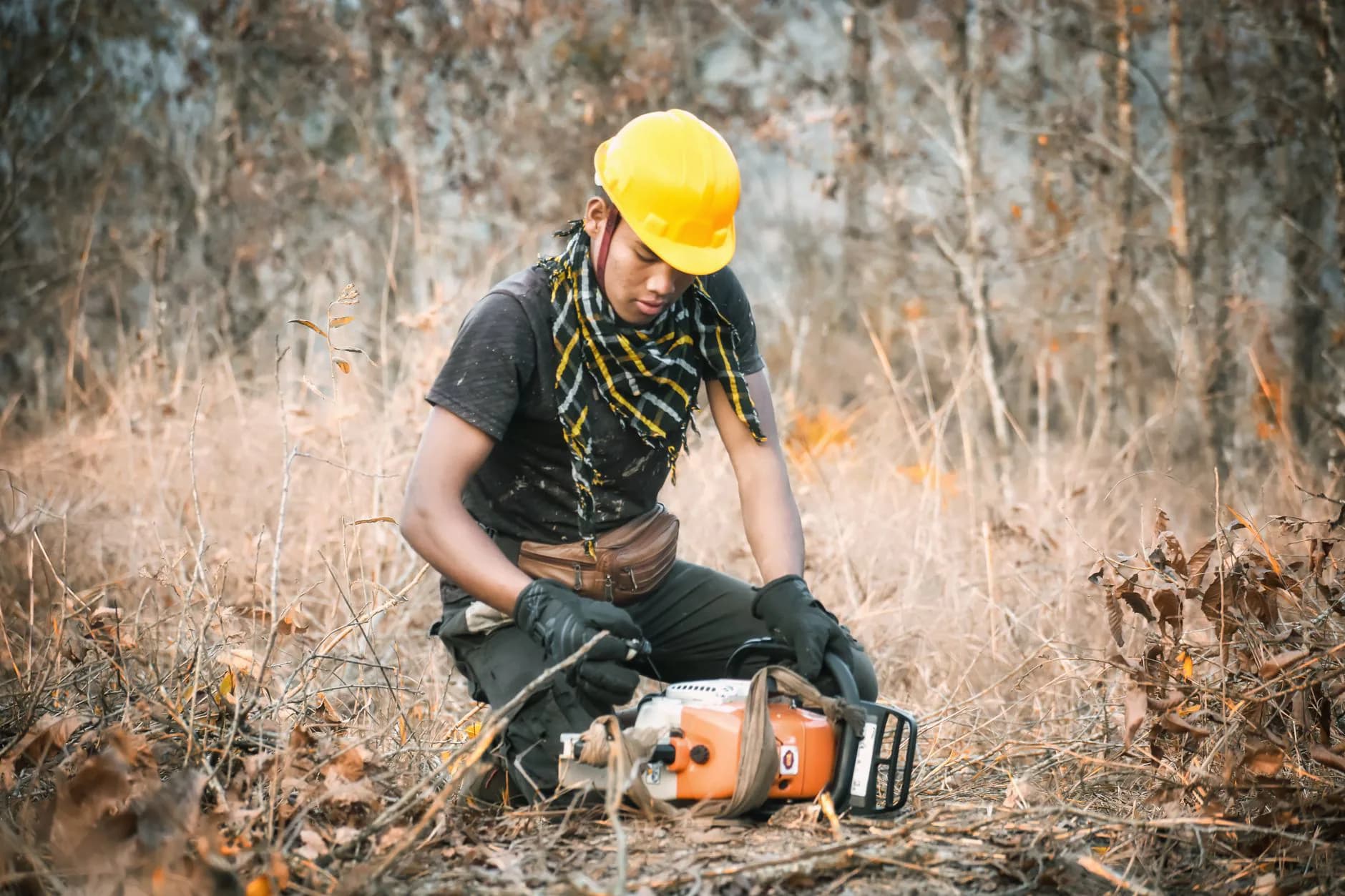 A forestry mulcher grinding brush on a wooded lot