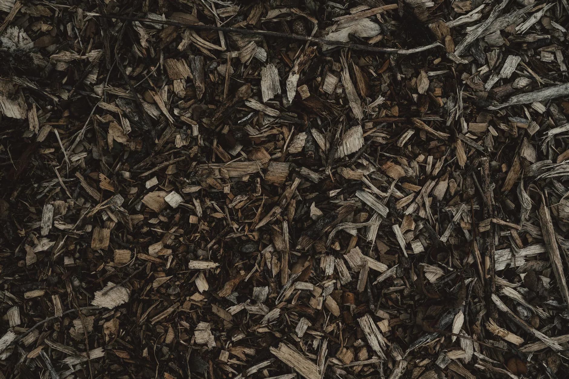 A heap of wood chips on garden soil